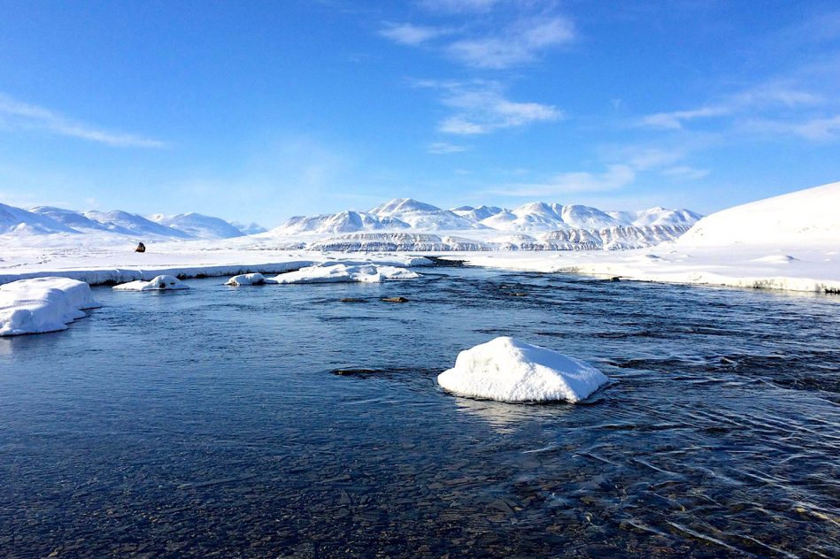 changement climatique augmente risque propagation virus anciens animaux arctique lac hazen