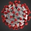 comment coronavirus infecte cellules