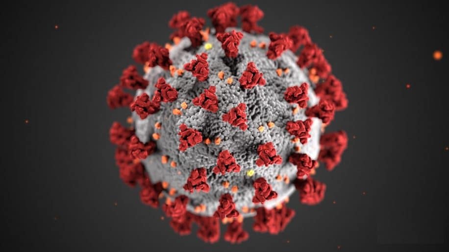 comment coronavirus infecte cellules