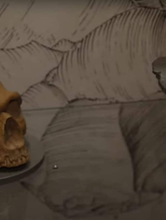 crâne néandertal doggerland