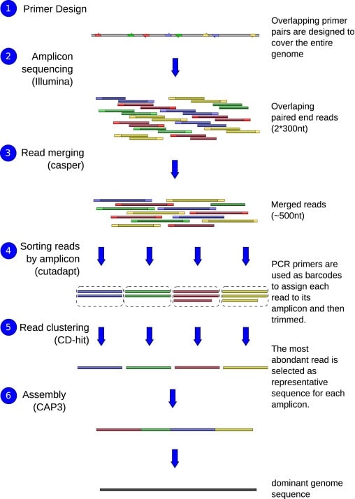 schema etape sequencage genome virus