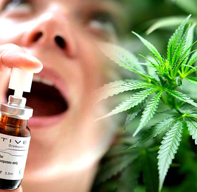 spray buccal base cannabis en essai traitement tumeurs cerebrales