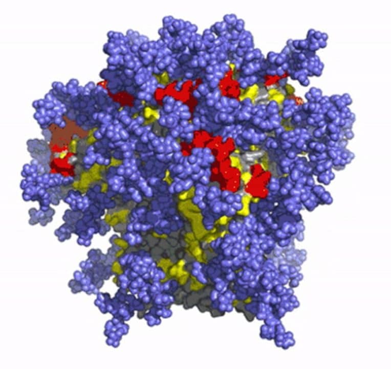 vaccin ARNm VIH Moderna
