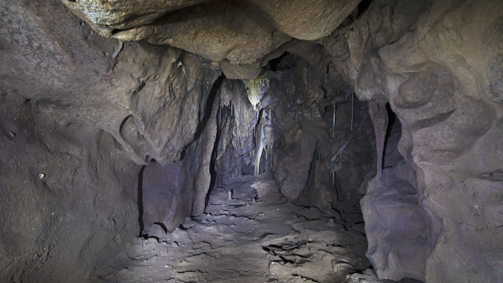 cavite grotte neandertaliens 40 000 ans