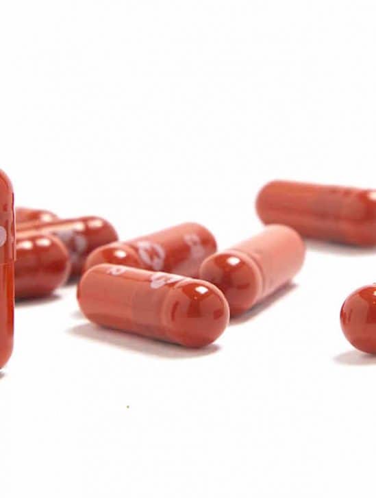 covid pilule antivirale merck reduirait moitie hospitalisations