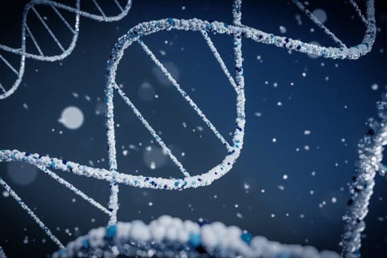 édition gènes CRISPR amélioration