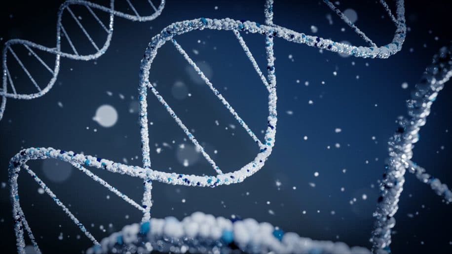 édition gènes CRISPR amélioration