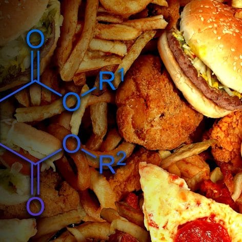 principaux fast foods produits perturbant hormones