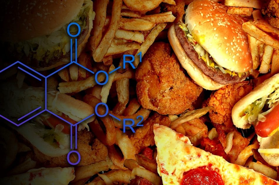 principaux fast foods produits perturbant hormones