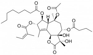 Schéma molécule Thapsigargine