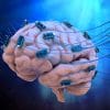 chercheurs ameliorent fonctions cognitives humaines par stimulation cerebrale