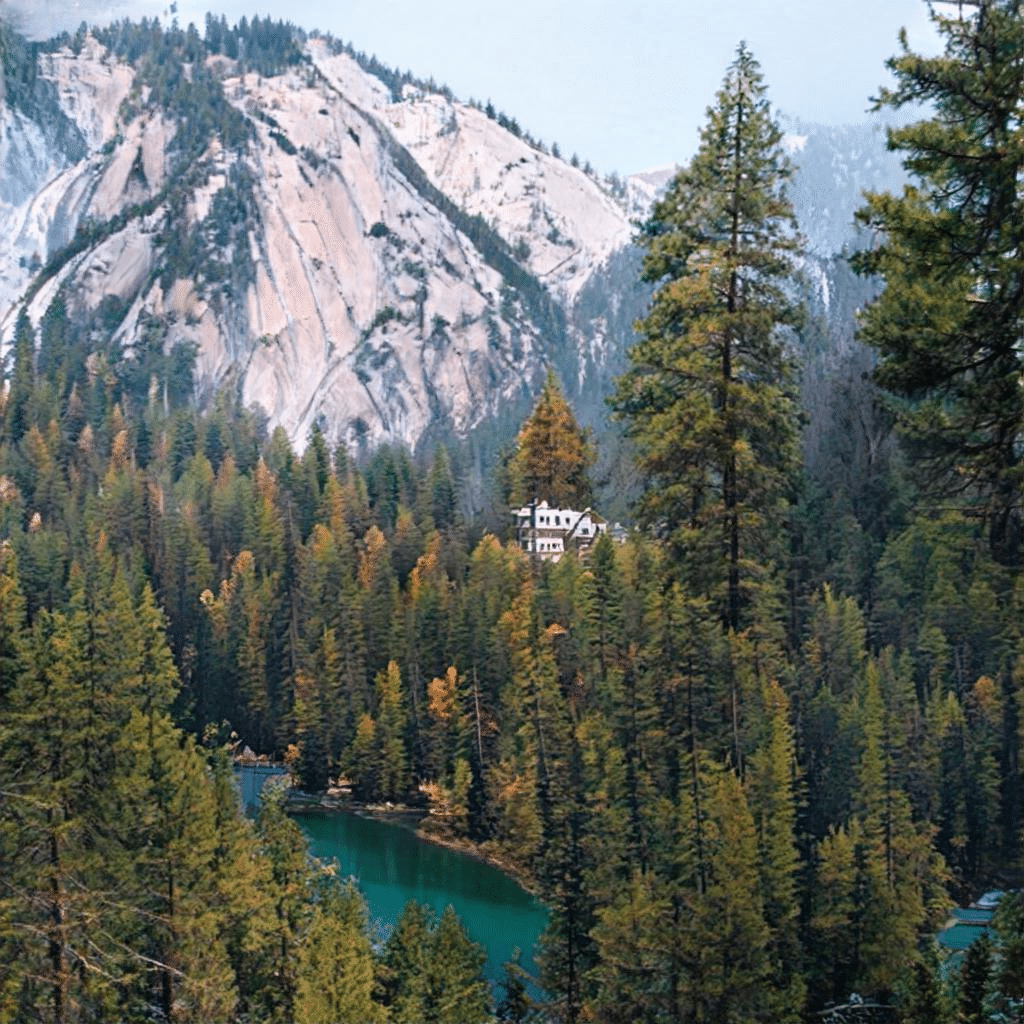 forest next to a lake gaugan 2