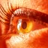 nouvelle therapie lumiere rouge pourrait restaurer acuite visuelle perdue avec age