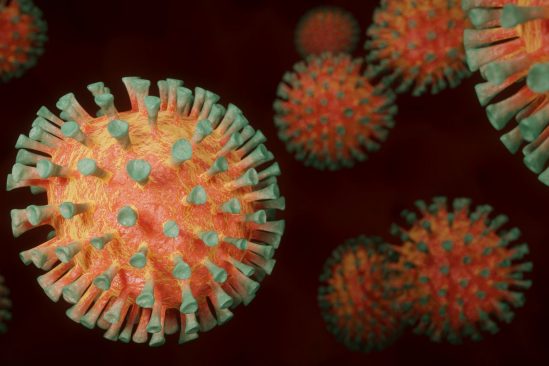 covid 19 molecule lie proteine pointe virus inhibe infection virale