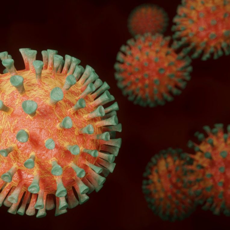 covid 19 molecule lie proteine pointe virus inhibe infection virale