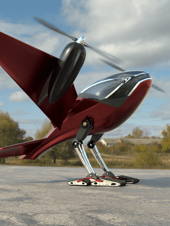 macrobat voiture volante forme oiseau développement couv