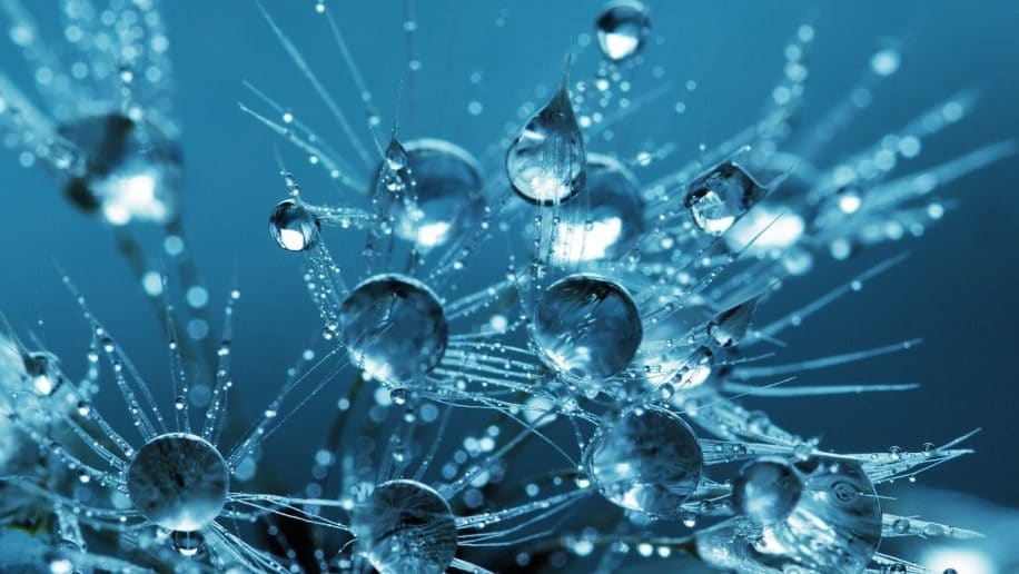 scientifiques observent liquides spin quantiques premiere fois