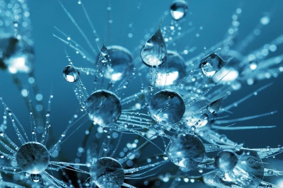 scientifiques observent liquides spin quantiques premiere fois