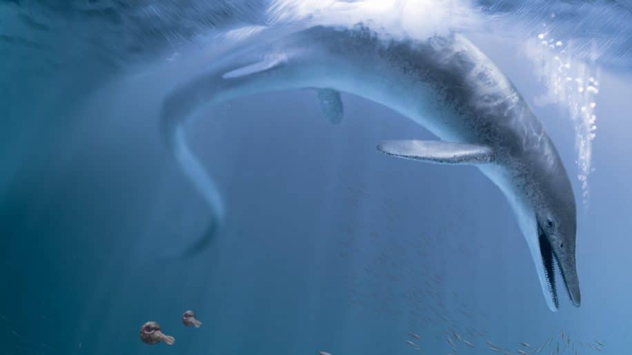 crane marin deux metres revele premier geant connu terre