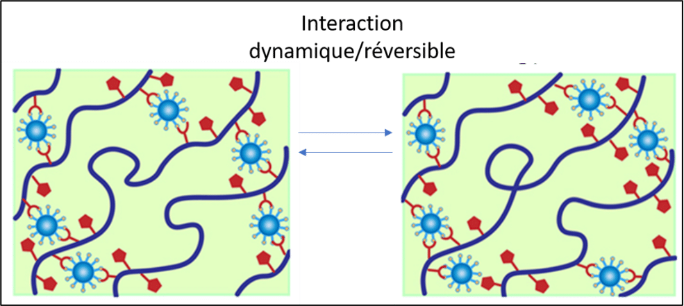 interaction dynamique reversible schema