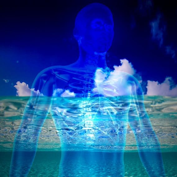 pourquoi sommes-nous majoritairement constitues eau