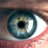 retine peut predire risque mort precoce