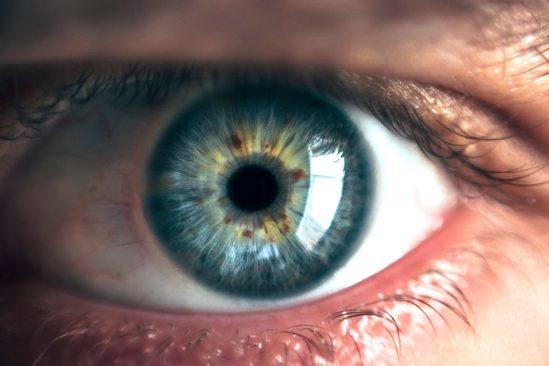 retine peut predire risque mort precoce