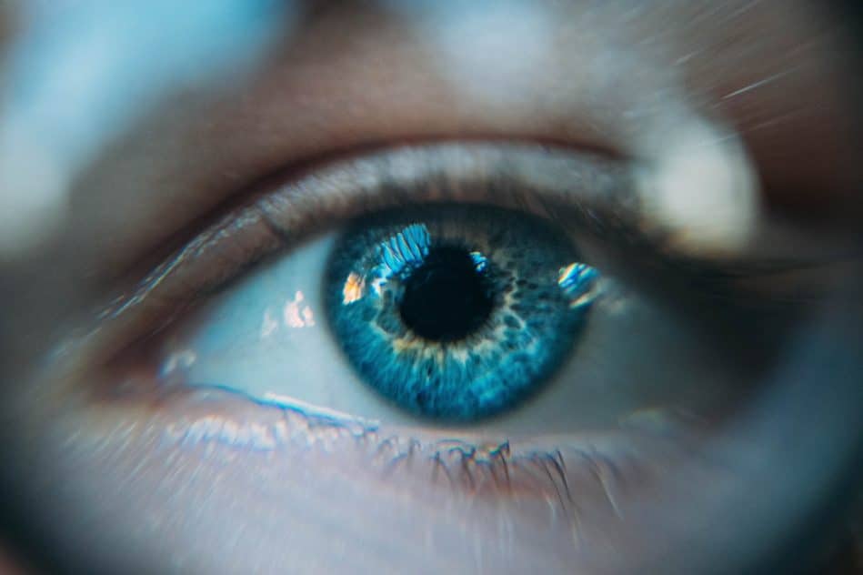 traitement informations visuelles cerveau