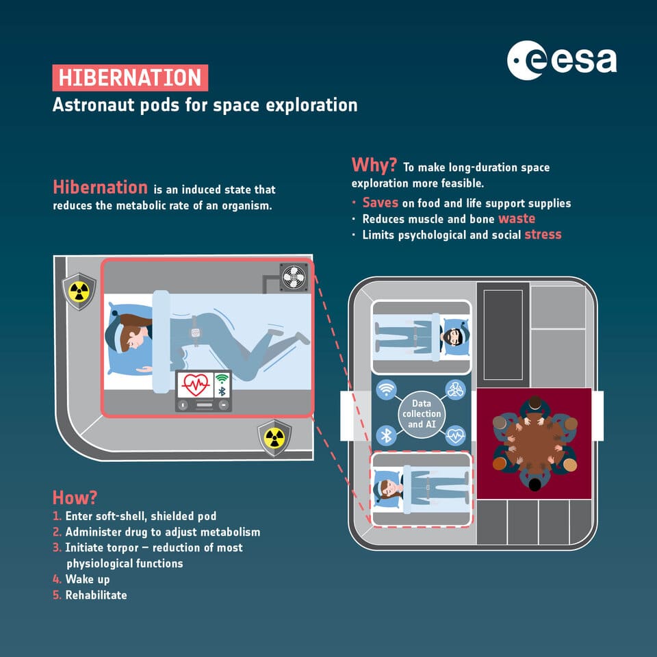 Hibernation astronautes capsule