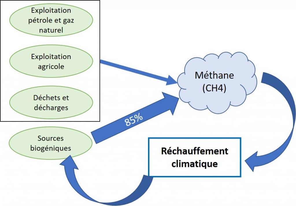 boucle retroaction methane