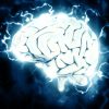 genetique revolution origines migraine