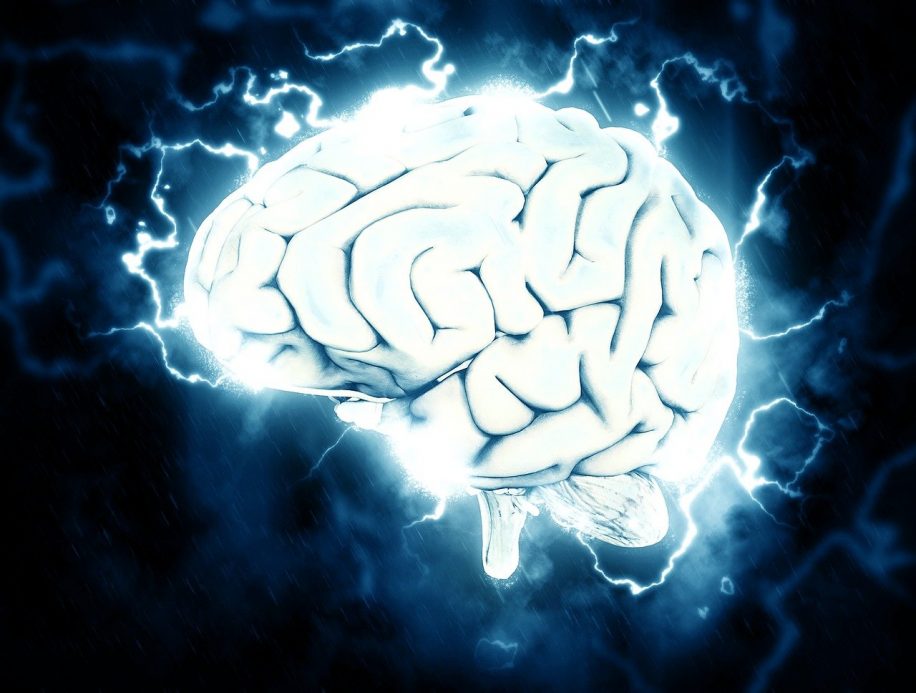genetique revolution origines migraine
