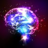 cerveau-musique-neurone-chanson-couv