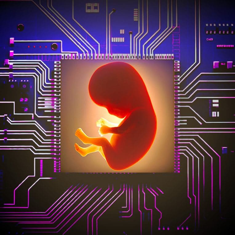 culture embryons utérus artificiel IA