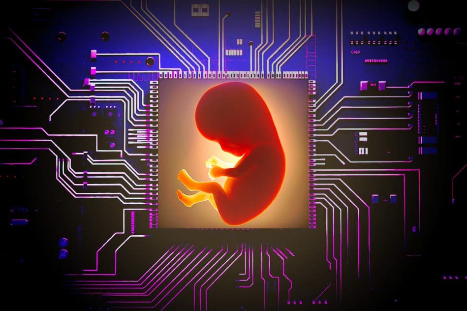 culture embryons utérus artificiel IA