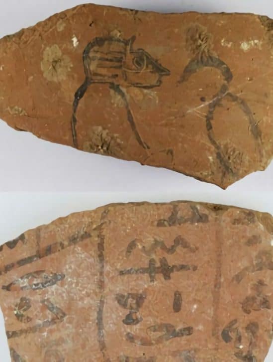 egypte ancienne decouverte plus 18 000 quotidienne epoque