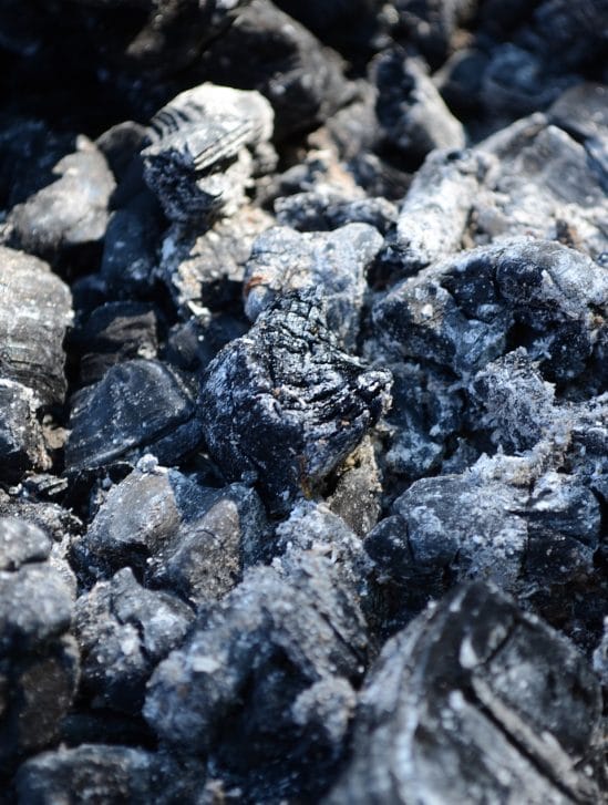 Terres rares extraits déchets combustion charbon