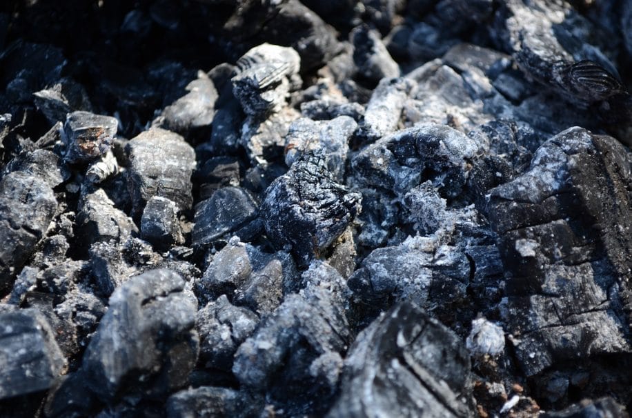 Terres rares extraits déchets combustion charbon