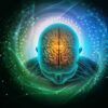 autisme amygdale diagnostic precoce 6 mois couv