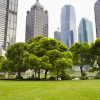 avc risque reduit espaces verts pollution air couv