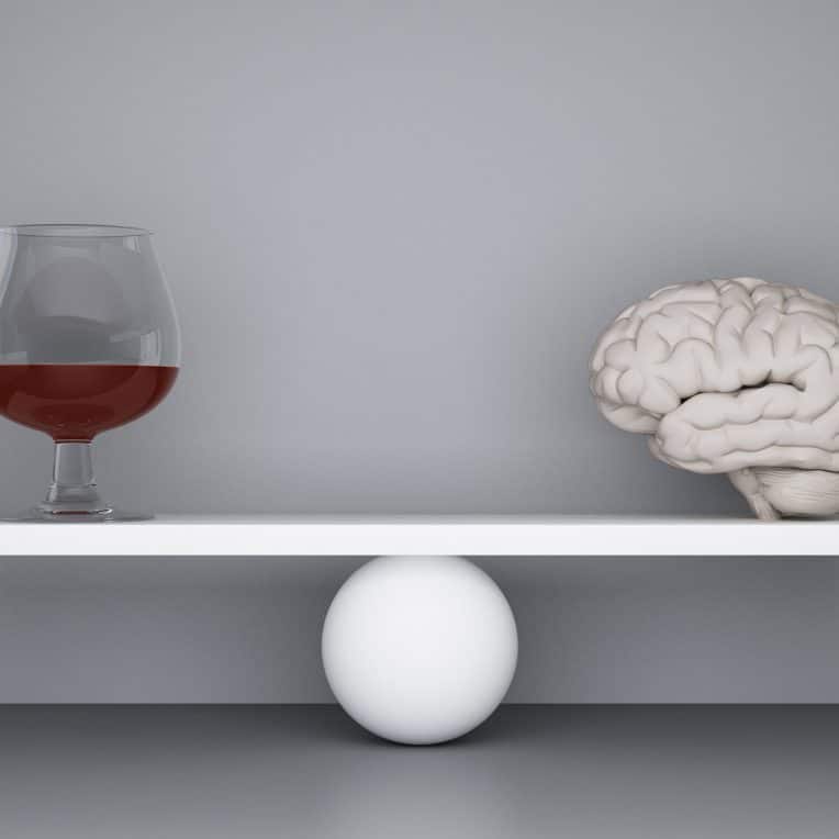 consommation legere alcool reduction taille cerveau couv