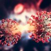 deltacron oms variant recombinant confirme couv