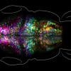 image cerveau creation souvenir temps reel innovation