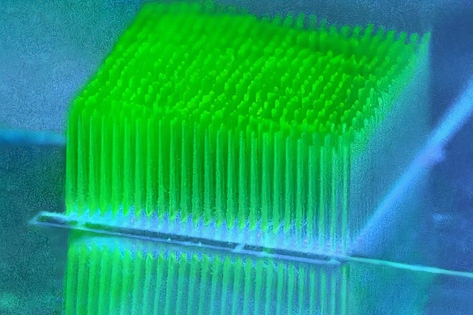 mini gratte-ciels bactéries convertissent lumiere en electricite