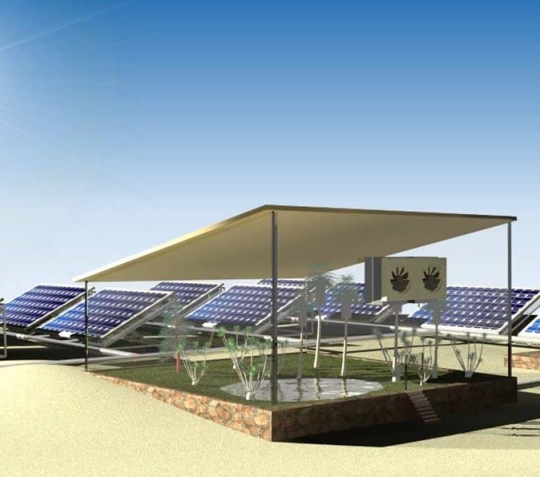panneau-solaire-plante-desert-electricite-production-eau-couv