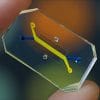puce microfluidique systeme immunitaire vaccin