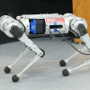 robot mini cheetah mit apprend courir lui même