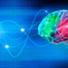 alzheimer ondes telephone portable demence precoce