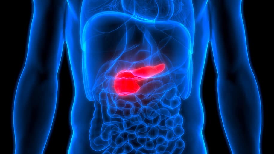 cancer pancreas intelligence artificielle detecter signes maladie