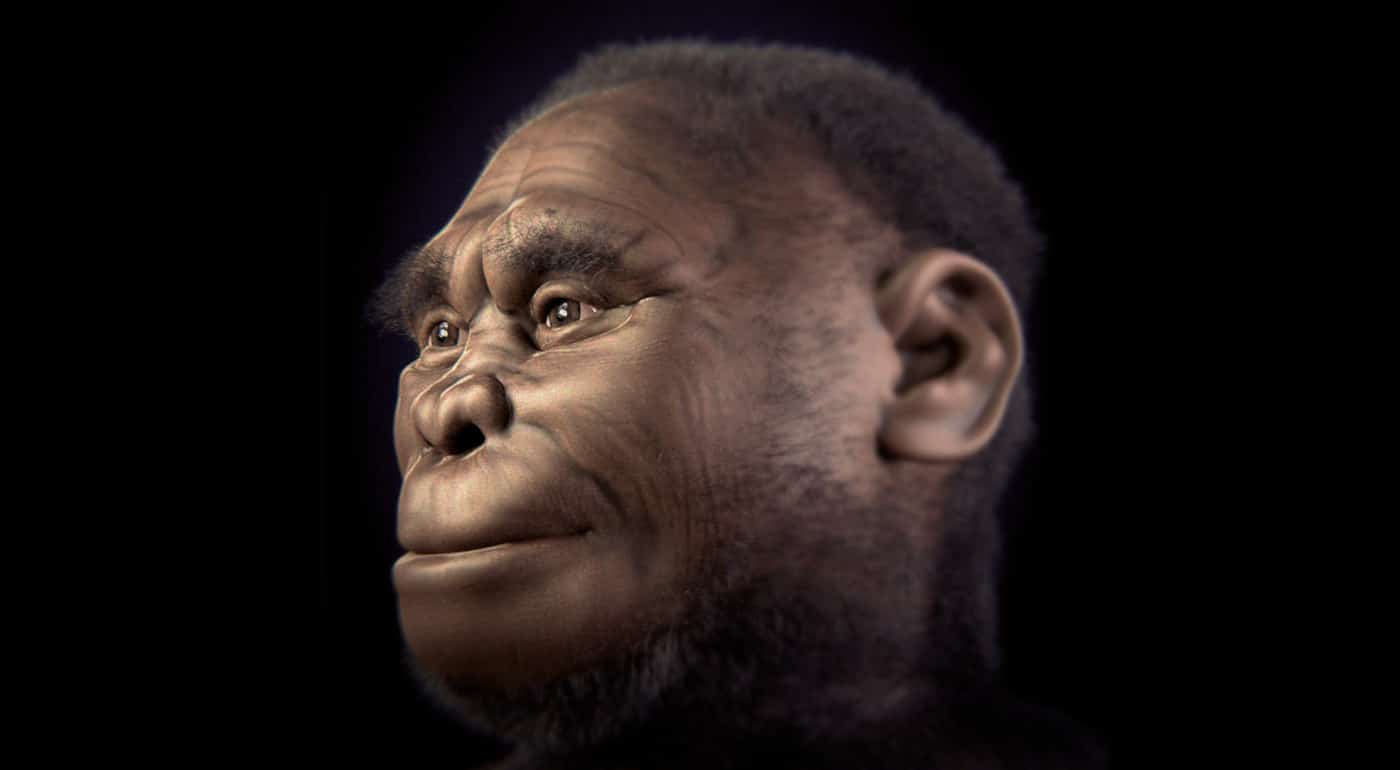 Another Small Hominid Species May Still Exist On The Indonesian Island